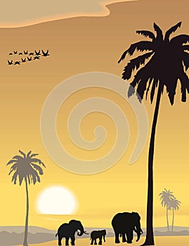 Vector evening landscape illustration