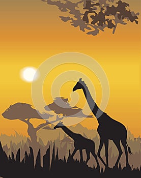 Vector evening landscape illustration