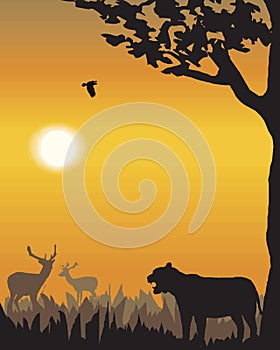 Vector evening landscape illustration