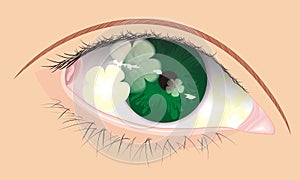 Vector eye with flower shadow inside