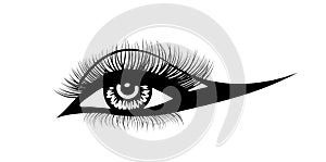 Vector eye lashes. Hand-drawn woman s sexy luxurious eye and full lashes. Idea for make up business visit card
