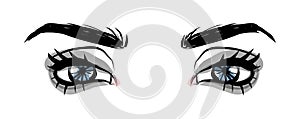 Vector eye lashes. Hand-drawn woman s sexy luxurious eye with perfectly shaped eyebrows and full lashes. Idea for