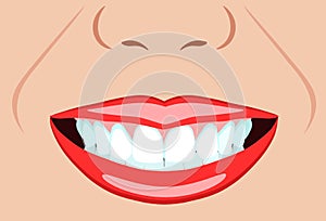 Vector face of girl and smile with ideal teeth for dental, stomatological illustrations