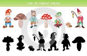 Vector fairy tale template for preschool lessons. Find the correct shadow. children educational game. Find right black silhouette