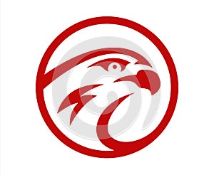 Vector falcon or hawk head sport game play team logo mascot design. American wild eagle abstract beak symbol sign photo