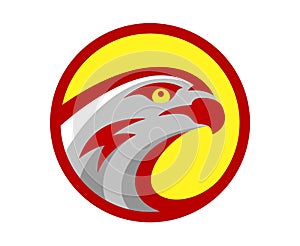 Vector falcon or hawk head sport game play team logo mascot design. American wild eagle abstract bird beak symbol sign photo