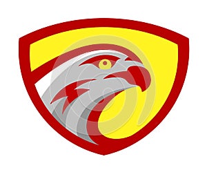 Vector falcon or hawk head sport game play team logo mascot design. American wild eagle abstract bird beak symbol sign photo