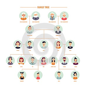 Vector family tree genealogy branches template photo
