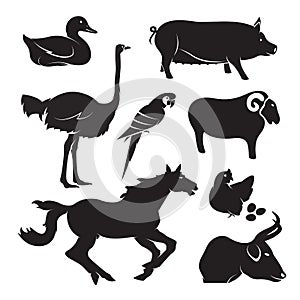 Vector farm animal set