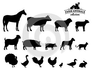 Vector Farm Animals Silhouettes Isolated on White photo