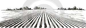 Vector farm field landscape. Furrows pattern in a plowed prepared for crops planting. Vintage realistic engraving sketch