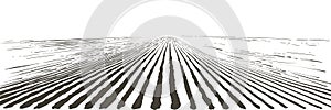 Vector farm field landscape. Furrows pattern in a plowed prepared for crops planting. Vintage realistic engraving sketch