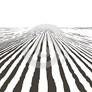 Vector farm field landscape. Furrows pattern in a plowed prepared for crops planting. Vintage realistic engraving sketch