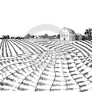 Vector Farm Field Sketch, Hand Drawn Village Outline Illustration, Black and White