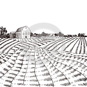 Vector Farm Field Sketch, Hand Drawn Village.