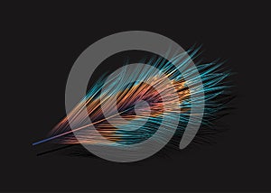 Vector feather on black background