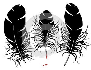 Vector feather silhouette