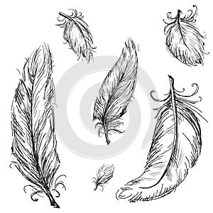 Vector feathers