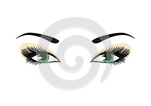 Vector female eyes with long lashes and make up