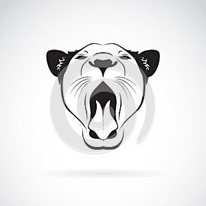 Vector of a female lion open mouth on white background.