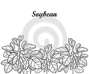 Vector field with outline Soybean or Soy bean with pods and ornate leaf in black isolated on white background. Legume plant. photo