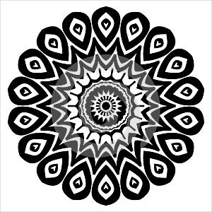 Vector file curving shape black and white design Pattern circle design.