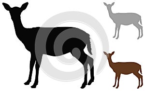 Doe or deer silhouette - hoofed ruminant mammal