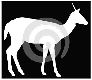 Doe or deer silhouette - hoofed ruminant mammal