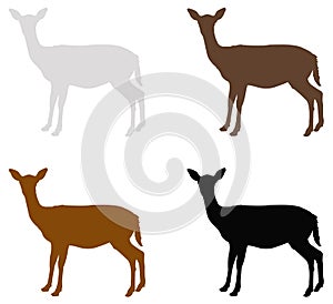 Doe or deer silhouette - hoofed ruminant mammal