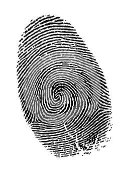 Vector fingerprint