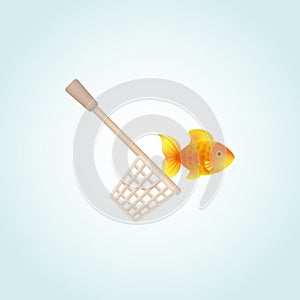 Vector fish catching icon for web. Isolated pictogram with a goldfish and a scoop net on a blue background