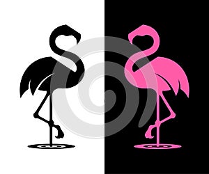 Vector flamingo silhouette photo