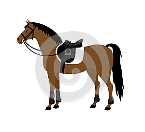Vector flat bay horse with saddle and bridle
