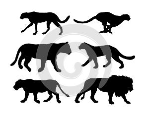 Vector flat black set of wild cats silhouette
