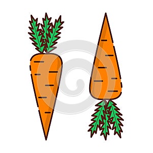 Vector flat cartoon carrot icon background