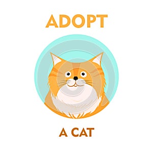 Vector flat cartoon cat illustration icon design. Adopt me. Help homeless animal concept. Isolated on white background
