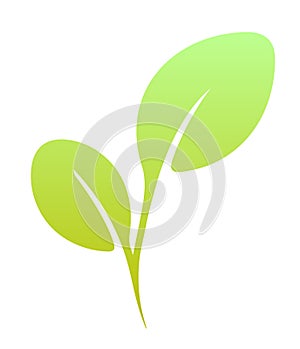 Vector flat green leaf. Vegan food stylize element. photo