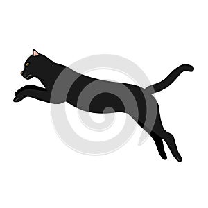 Vector flat hand drawn black jumping cat