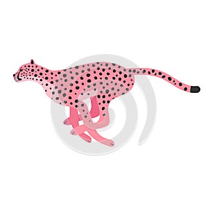 Vector flat hand drawn pink running cheetah