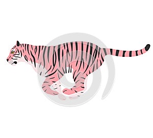 Vector flat hand drawn pink tiger