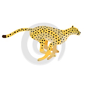 Vector flat hand drawn running cheetah