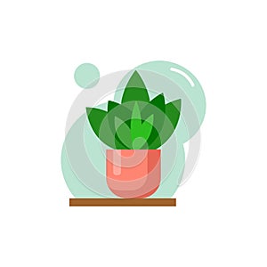 Vector flat house plant pot illustration.