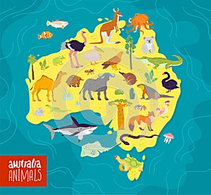 Vector flat illustration of Australia continent, animals and plants: parrot, camel, kangaroo, crocodile, ostrich, koala, turtle an