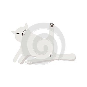 Vector flat illustration. Cutie white cat