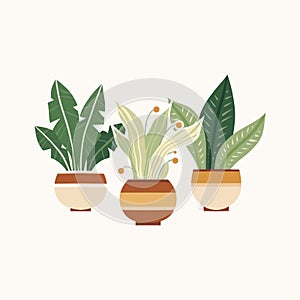 Vector flat illustration of flower pots. Stylish square card with a composition of home plants