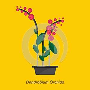 Vector flat illustration of indoor homeplant dendrobium orchids in pot
