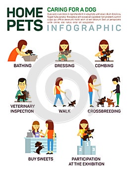 Vector flat illustration infographic of caring about pets dog. Bathing, washing, dressing, combing, veterinary