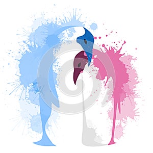 Vector flat illustration of a pair of penguins