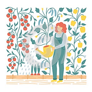 Vector flat illustration of woman watering vegetable garden beds for poster or postcard. Gardener planting tomatoes