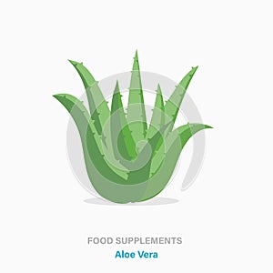 Vector flat isolated icon of food supplements - Aloe Vera plant